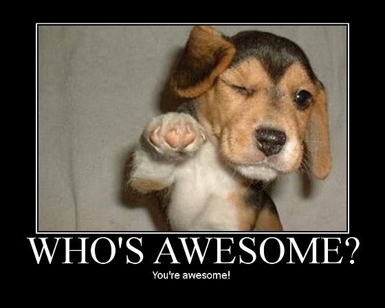 File:Who's awesome dog.jpg