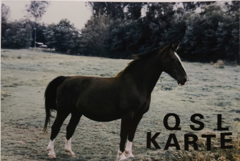 File:IMG 20251025 171012.jpg