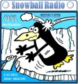 Snow Ball Radio QSL.JPG