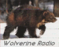 Wolverine Radio SSTV 6950USB 9-7-08 0315z.gif