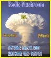 Radio Mushroom.jpg