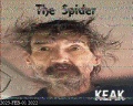 KEAK The Spider SSTV.jpg